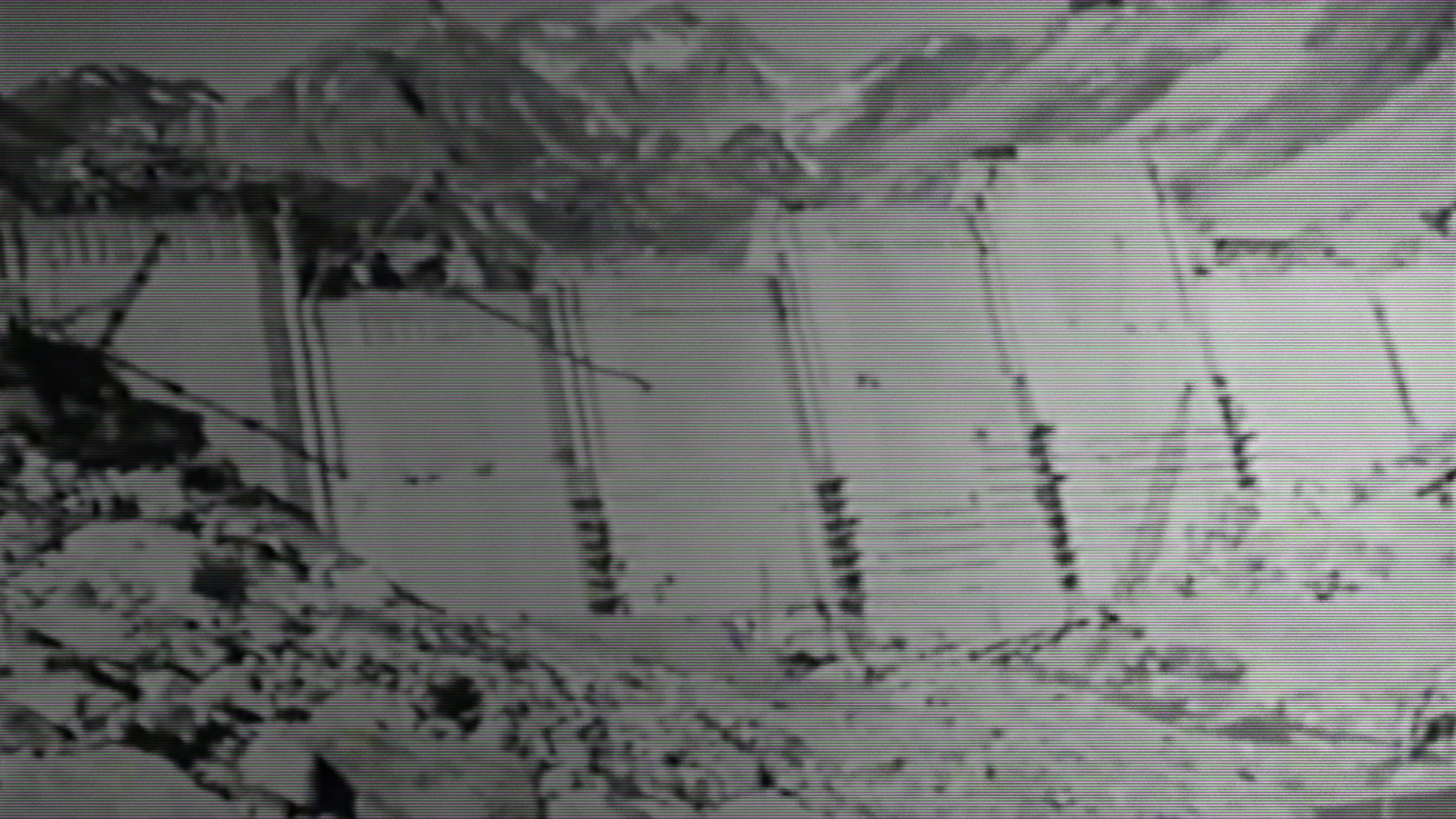 BOX CINEMA Morasco 03