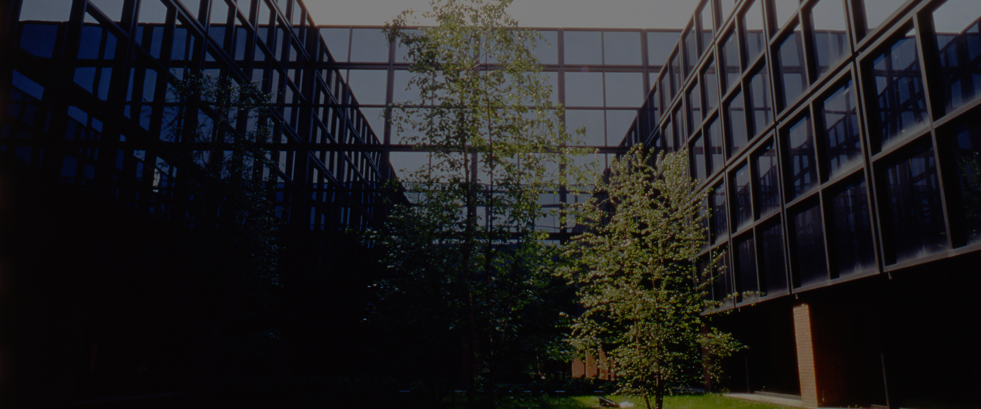 IEO   ISTITUTO EUROPEO DI ONCOLOGIA 3840x1600